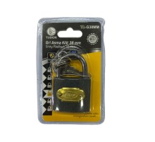 Tudor 38 mm Kısa Gri Asma Kilit