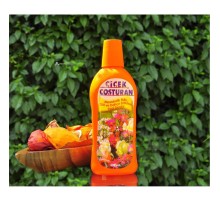 Çiçek Coşturan Mevsimlik Fide Gül Bahçe Bitkileri İçin