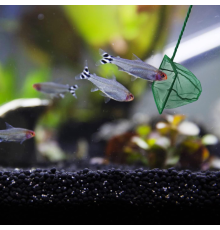 Akvaryum Balık Kepçesi 10 CM