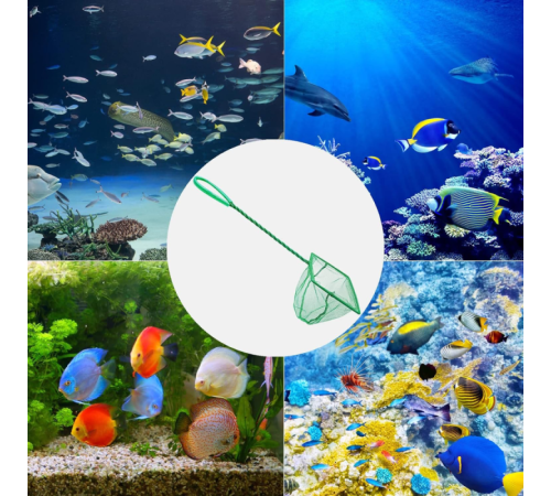 Akvaryum Balık Kepçesi 10 CM