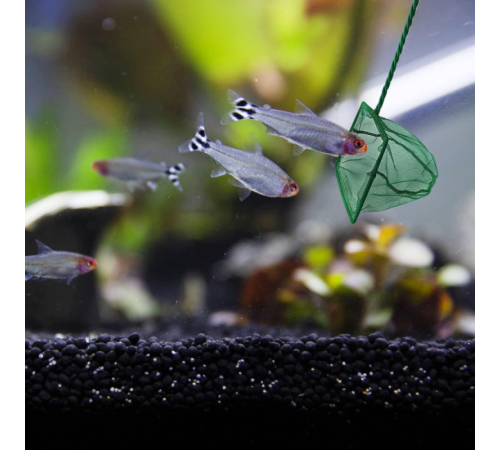 Akvaryum Balık Kepçesi 15 CM