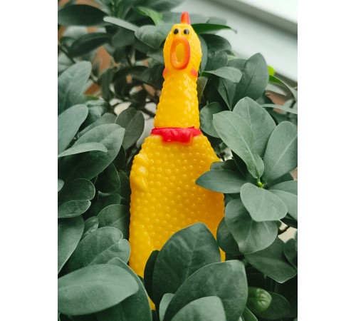 Büyük Petzoom Pet Park Köpek Tuvalet Eğitim Seti – Evcil Dostunuz İçin Hijyenik Çözüm 1 Adet Çığlık Atan Ördek 1 Adet Yıkanabilir Rulo Hediye