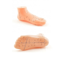 Ayak Akupunktur bölgesi Maketi