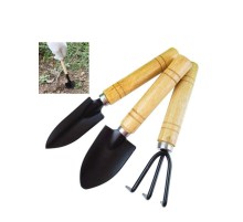 3 Parça Bitki Hobi Seti - Bahçe Saksı Sukulent  Bakım Çapa-Tırmık-Kürek