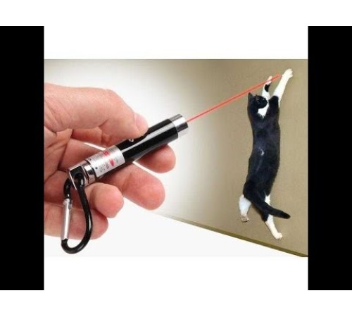 4 Yedek Başlıklı Pilli Kedi Oyuncağı Lazer Anahtarlık