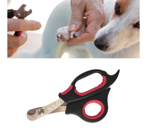 Büyük Boy Evcil Hayvan Köpek Kedi Çelik Uçlu Tırnak Makası Pati Bakım Aleti Büyük Boy Evcil Hayvan Köpek Kedi Çelik Uçlu Tırnak Makası Pati Bakım Aleti