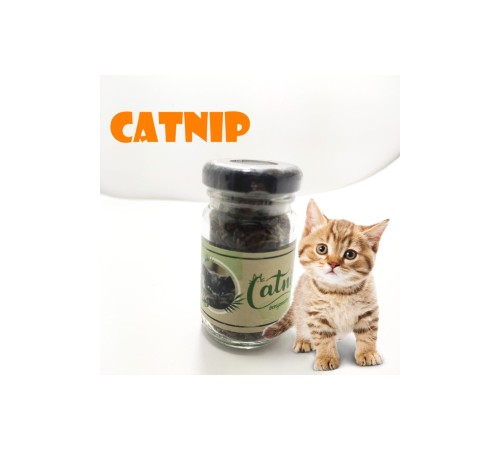 Catnip Doğal Kedi Otu - Kedi Nanesi Catnip Doğal Kedi Otu - Kedi Nanesi