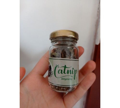 Catnip Doğal Kedi Otu - Kedi Nanesi Catnip Doğal Kedi Otu - Kedi Nanesi