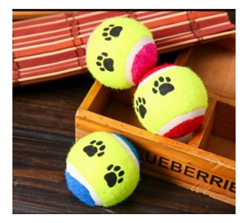 At Getir Köpek Eğitim Topu At Getir Köpek Eğitim Topu