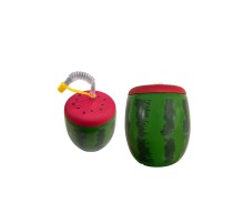 Karpuz Tasarımlı Pipetli Suluk 900 ML