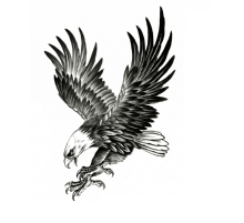 Kartal Geçici Dövme Şablonu Büyük Boy