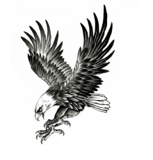 Kartal Geçici Dövme Şablonu Büyük Boy