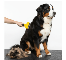 Kedi & Köpekler İçin Tüy Alıcı 7 cm