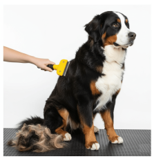 Kedi & Köpekler İçin Tüy Alıcı 7 cm