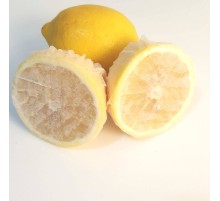 Limon Bonesi / 500 Adet / Bitki Çayı Bonesi