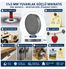 Mıknatıs 17x3 mm Yuvarlak Güçlü Mıknatıs Disk Mıknatıs