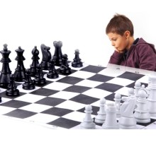 Okullara Özel Satranç Takımı