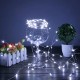 Peri Led Işık 10 Metre BEYAZ Dekor Lambası 100 Ledli