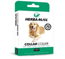 Pire Dış Parazit Kene Tasması - 75 Cm