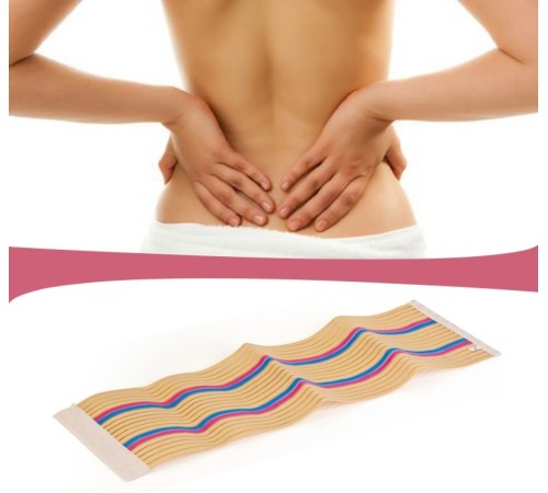 Waist Trimmer Renkli - XL Waist Trimmer Renkli - XL