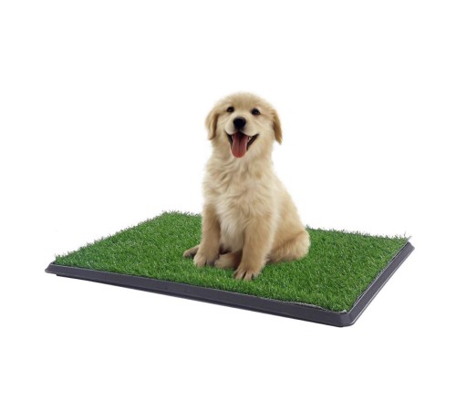Yavru Köpek Tuvalet Eğitim Parkı 3 Katmanlı - 45Cm x 32 Cm Yavru Köpek Tuvalet Eğitim Parkı 3 Katmanlı - 45Cm x 32 Cm