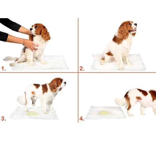 Yıkanabilir Köpek Çiş Pedi - 100 X 100 Cm 5li Paket Yıkanabilir Köpek Çiş Pedi - 100 X 100 Cm 5li Paket