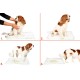 Yıkanabilir Köpek Çiş Pedi - 100 X 100 Cm 5li Paket