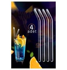 Cam Pipet 4 ADET