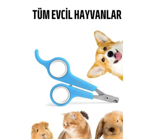 Kedi Tırnak Makası Evcil Hayvan Köpek Tavşan Tırnak Makası Kedi Tırnak Makası Evcil Hayvan Köpek Tavşan Tırnak Makası