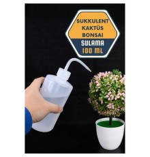 Sukkulent Kaktüs Bonsai Sulama Şişesi