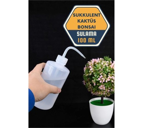 Sukkulent Kaktüs Bonsai Sulama Şişesi