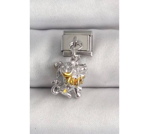 316L Çelik Gümüş Renk Sallantı Aslan Model Nomination Charm