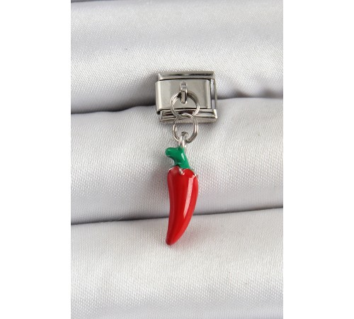 316L Çelik Gümüş Renk Kapya Biber Model Nomination Charm