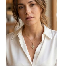 316L Çelik Zincir Gold Renk Kutup Yıldızı Model Zirkon Taşlı Kadın Kolye