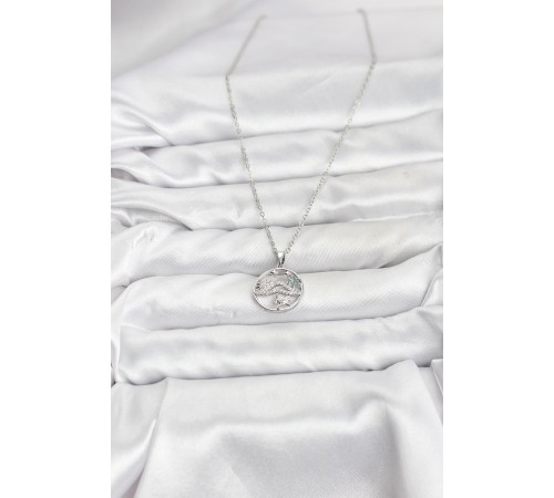 316L Çelik Zincir Gümüş Renk Şans Kolyesi Model Zirkon Taşlı Kadın Kolye