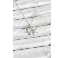 316L Çelik Zincir Gümüş Renk Deniz Yıldızı Model Zirkon Taşlı Kadın Kolye