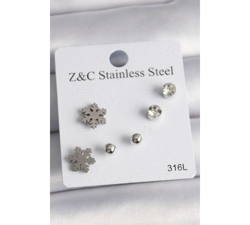 316L Çelik Gümüş Renk Zirkon Taşlı Kar Tanesi Model Kadın Küpe Seti