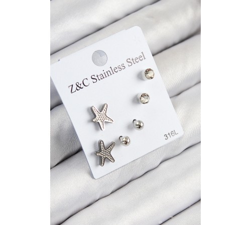 316L Çelik Zirkon Taşlı Deniz Yıldızı Model Gümüş Renk Kadın Set Küpe