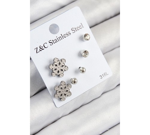 316L Çelik Zirkon Taşlı Kar Tanesi Model Gümüş Renk Kadın Set Küpe