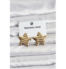 316L Çelik Gold Renk Yıldız Model Kadın Küpe