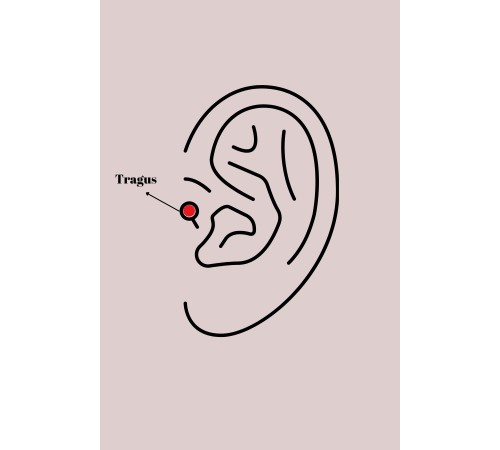 316L Çelik Gümüş Renk Mavi Zirkon Taşlı Tragus Piercing