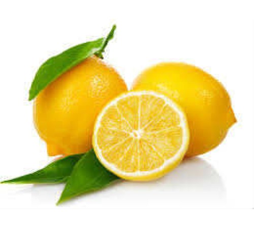 Limon Bonesi / 500 Adet / Bitki Çayı Bonesi