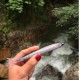 Hamsi Tasarımlı Tükenmez Kalem