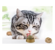 Kedi Nanesi Oyun Topu