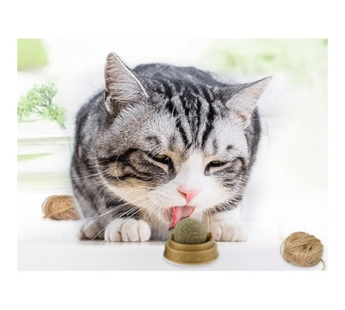 Kedi Nanesi Oyun Topu