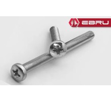 Ebru Yuvarlak Yıldız Başlı YSB Civata M6x100 - 10 Adet