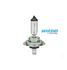 Sentinel H7 Halojen Far Ampülü 12 Volt 55Watt