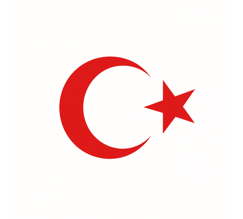 Türk Bayrağı Oto Sticker Kırmızı 23x17 cm