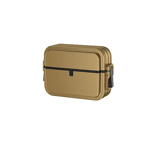 Apple Airpods 3 (3.nesil) 404 Kilitli Kılıf - Gold
