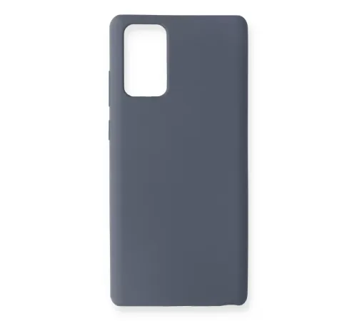 Samsung Galaxy Note 20 Kılıf Nano içi Kadife Silikon - Gri